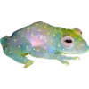 Frog by