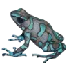 Frog by