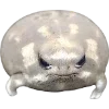Frog by