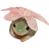 Frog by