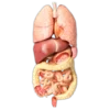 Крипота ➜