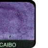 ✵ eyeshadow palletes 2 ⇄