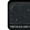 ✵ eyeshadow palletes 2 ⇄