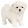 Флаффяя
