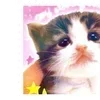 Флаффяя