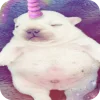 Флаффяя