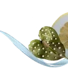 ╔═ஓ๑ 𝕡𝕠𝕞𝕖𝕘𝕣𝕒𝕟𝕒𝕥𝕖 ๑ஓ═╗ ✾⋅⋆⋄ ⋅⋆⋄✾