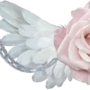 ╔═ஓ๑ 𝕡𝕠𝕞𝕖𝕘𝕣𝕒𝕟𝕒𝕥𝕖 ๑ஓ═╗ ✾⋅⋆⋄ ⋅⋆⋄✾
