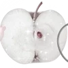 ╔═ஓ๑ 𝕡𝕠𝕞𝕖𝕘𝕣𝕒𝕟𝕒𝕥𝕖 ๑ஓ═╗ ✾⋅⋆⋄ ⋅⋆⋄✾