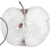 ╔═ஓ๑ 𝕡𝕠𝕞𝕖𝕘𝕣𝕒𝕟𝕒𝕥𝕖 ๑ஓ═╗ ✾⋅⋆⋄ ⋅⋆⋄✾
