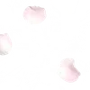╔═ஓ๑ 𝕡𝕠𝕞𝕖𝕘𝕣𝕒𝕟𝕒𝕥𝕖 ๑ஓ═╗ ✾⋅⋆⋄ ⋅⋆⋄✾