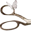 ╔═ஓ๑ 𝕡𝕠𝕞𝕖𝕘𝕣𝕒𝕟𝕒𝕥𝕖 ๑ஓ═╗ ✾⋅⋆⋄ ⋅⋆⋄✾