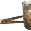 ╔═ஓ๑ 𝕡𝕠𝕞𝕖𝕘𝕣𝕒𝕟𝕒𝕥𝕖 ๑ஓ═╗ ✾⋅⋆⋄ ⋅⋆⋄✾