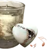 ╔═ஓ๑ 𝕡𝕠𝕞𝕖𝕘𝕣𝕒𝕟𝕒𝕥𝕖 ๑ஓ═╗ ✾⋅⋆⋄ ⋅⋆⋄✾