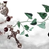 ╔═ஓ๑ 𝕡𝕠𝕞𝕖𝕘𝕣𝕒𝕟𝕒𝕥𝕖 ๑ஓ═╗ ✾⋅⋆⋄ ⋅⋆⋄✾