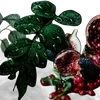 ╔═ஓ๑ 𝕡𝕠𝕞𝕖𝕘𝕣𝕒𝕟𝕒𝕥𝕖 ๑ஓ═╗ ✾⋅⋆⋄ ⋅⋆⋄✾