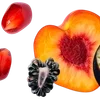 ╔═ஓ๑ 𝕡𝕠𝕞𝕖𝕘𝕣𝕒𝕟𝕒𝕥𝕖 ๑ஓ═╗ ✾⋅⋆⋄ ⋅⋆⋄✾