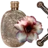 ╔═ஓ๑ 𝕡𝕠𝕞𝕖𝕘𝕣𝕒𝕟𝕒𝕥𝕖 ๑ஓ═╗ ✾⋅⋆⋄ ⋅⋆⋄✾