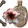 ╔═ஓ๑ 𝕡𝕠𝕞𝕖𝕘𝕣𝕒𝕟𝕒𝕥𝕖 ๑ஓ═╗ ✾⋅⋆⋄ ⋅⋆⋄✾