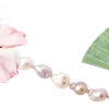 ╔═ஓ๑ 𝕡𝕠𝕞𝕖𝕘𝕣𝕒𝕟𝕒𝕥𝕖 ๑ஓ═╗ ✾⋅⋆⋄ ⋅⋆⋄✾