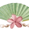 ╔═ஓ๑ 𝕡𝕠𝕞𝕖𝕘𝕣𝕒𝕟𝕒𝕥𝕖 ๑ஓ═╗ ✾⋅⋆⋄ ⋅⋆⋄✾