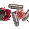 ╔═ஓ๑ 𝕡𝕠𝕞𝕖𝕘𝕣𝕒𝕟𝕒𝕥𝕖 ๑ஓ═╗ ✾⋅⋆⋄ ⋅⋆⋄✾