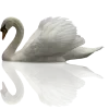 for