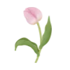 for