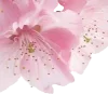 pink heaven by