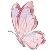 pink heaven by