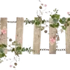 ╭┈┈ ᶠᵃᶦʳʸᶜᵒʳᵉ ┈┈╮ ✮ ✮