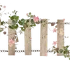 ╭┈┈ ᶠᵃᶦʳʸᶜᵒʳᵉ ┈┈╮ ✮ ✮