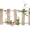 ╭┈┈ ᶠᵃᶦʳʸᶜᵒʳᵉ ┈┈╮ ✮ ✮