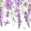 ╭┈┈ ᶠᵃᶦʳʸᶜᵒʳᵉ ┈┈╮ ✮ ✮