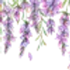 ╭┈┈ ᶠᵃᶦʳʸᶜᵒʳᵉ ┈┈╮ ✮ ✮
