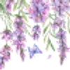 ╭┈┈ ᶠᵃᶦʳʸᶜᵒʳᵉ ┈┈╮ ✮ ✮