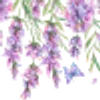╭┈┈ ᶠᵃᶦʳʸᶜᵒʳᵉ ┈┈╮ ✮ ✮