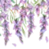 ╭┈┈ ᶠᵃᶦʳʸᶜᵒʳᵉ ┈┈╮ ✮ ✮