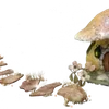 ╭┈┈ ᶠᵃᶦʳʸᶜᵒʳᵉ ┈┈╮ ✮ ✮