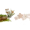 ╭┈┈ ᶠᵃᶦʳʸᶜᵒʳᵉ ┈┈╮ ✮ ✮