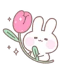 ╭┈┈ ᶠᵃᶦʳʸᶜᵒʳᵉ ┈┈╮ ✮ ✮