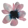 ╭┈┈ ᶠᵃᶦʳʸᶜᵒʳᵉ ┈┈╮ ✮ ✮