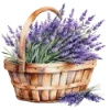 Лавандовый пак