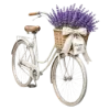 Лавандовый пак