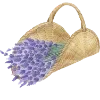 Лавандовый пак