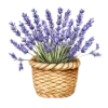 Лавандовый пак