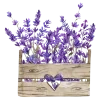 Лавандовый пак