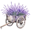 Лавандовый пак