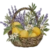 Лавандовый пак