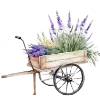 Лавандовый пак